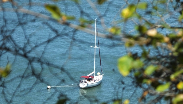 Mooring at Angel Island - Spinnaker Sailing
